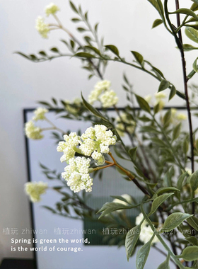植玩仿真花小手球雪柳枝