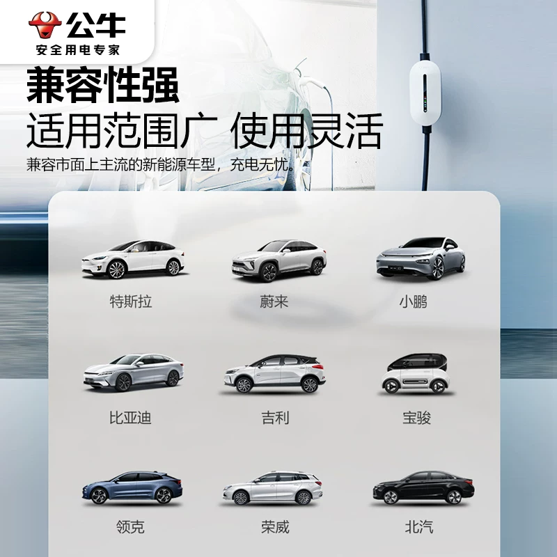 Портативный Bulls с Wuling Hongguang MINI Tesla новый источник энергии автомобильный зарядное устройство домой
