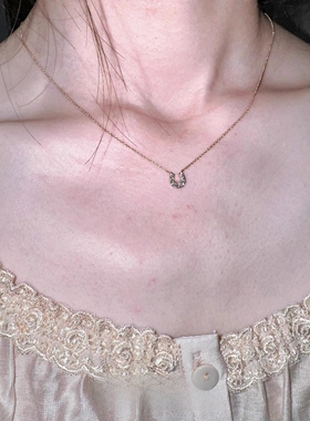 S925纯银极细马蹄扣项链女款2025新款高级感轻奢小众颈链锁骨链女