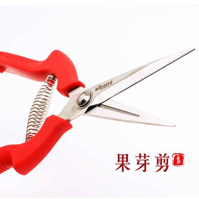 包邮 葡萄剪修枝剪园艺采果芽剪柑橘子修花稀果摘果 水果蔬果剪刀,淘宝优惠券,粉丝福利购,淘宝优惠卷