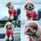 Аксессуар, складные солнцезащитные очки, ветрозащитные защитные очки, защита от солнца, подходит для подростков