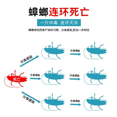 蟑螂药全窝端家用毒杀宿舍小强一锅端旗舰店正品环保孕妇婴儿神器-图2