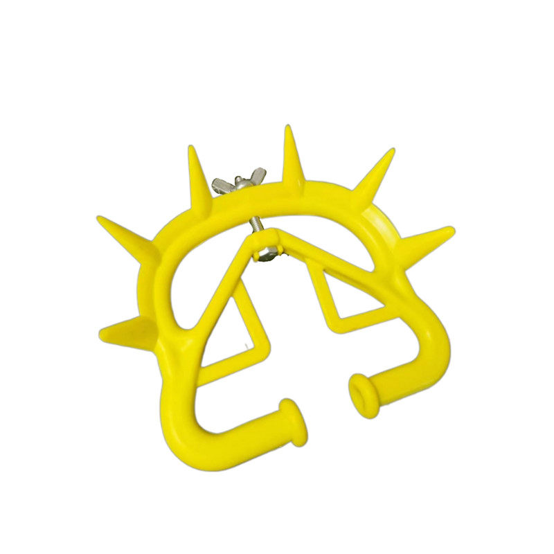 图5