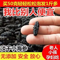 Bubble Hair Large Natural Deep-sea Net Red Small Black Tingle 500g Wild Sea Cucumber Special Grade Dry Goods Light Dry Seafood