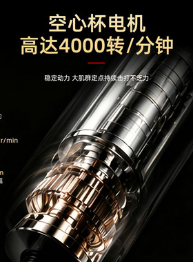 DMS深层肌肉刺激仪专业按摩放松