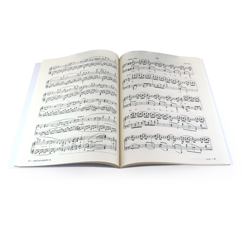 正版拉赫玛尼诺夫音画钢琴教材书 安徽文艺出版社音乐（新）