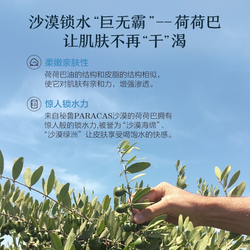 阿芙精油荷荷巴油霍霍巴油基础精油保湿修护护发油官方旗舰店官网-图2