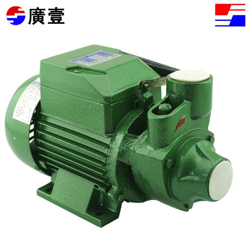 广一1DB65清水泵 380V家用泵 三相单相220V增压泵 750W - 图1