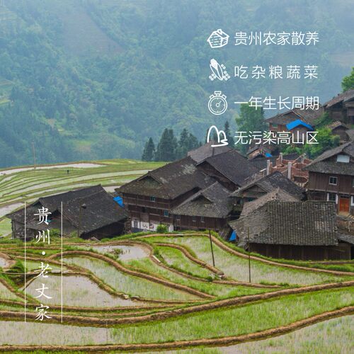 贵州农家土猪肉新鲜现杀—蹄髈/肘子+汤骨 共8斤 - 图2