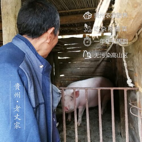 贵州农家土猪肉新鲜现杀—蹄髈/肘子+汤骨 共8斤 - 图0