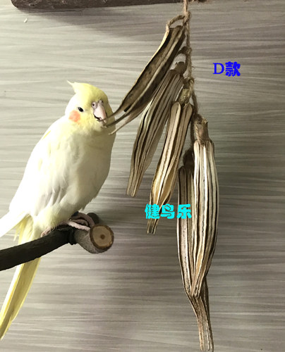 中小型鹦鹉啃咬玩具丝瓜络秋葵玉米皮系列宠物鸟牡丹玄凤虎皮文鸟 - 图3