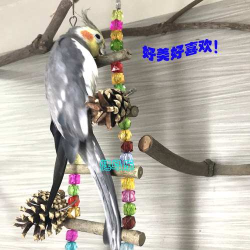 中小型鹦鹉鸟亚克力珠天然松塔果木游戏攀爬云梯秋千虎皮牡丹玄凤 - 图1