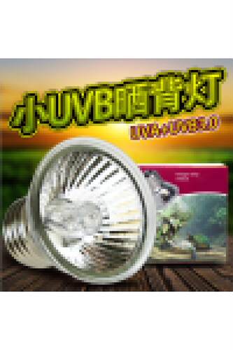 保温箱加热灯鹦鹉鸟乌龟晒背灯龟缸全光谱UVA+UVB3.0太阳灯补钙灯 - 图3