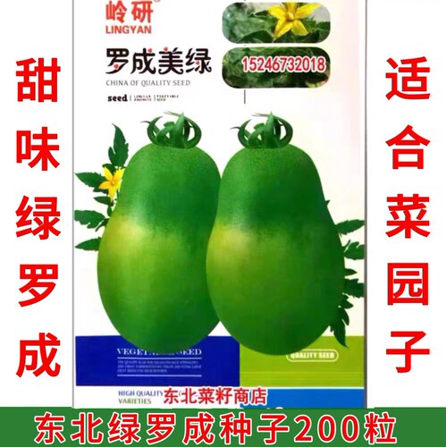 新东北牛奶绿柿子 绿宝石 绿色 贼不偷 绿罗成 青苹果番茄种子 - 图1
