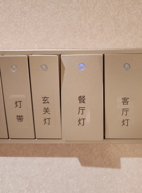 H.G.T定制透明环保夜光材料