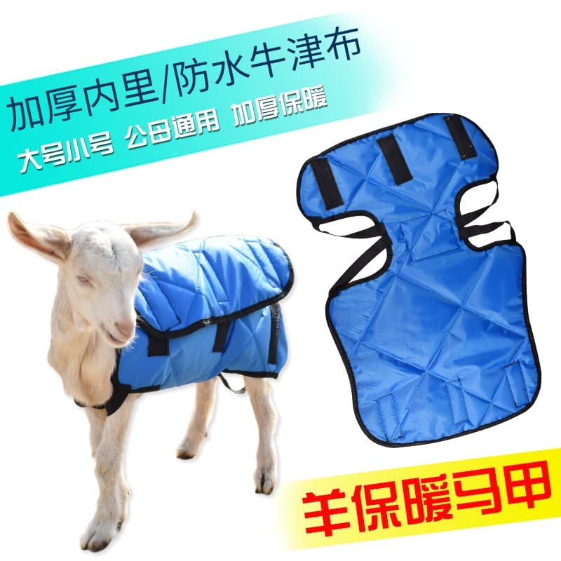 加厚新生小羊马甲保暖衣防寒护肚子羊羔马甲小羊羔衣服加绒保暖服,淘宝优惠券,粉丝福利购,淘宝优惠卷