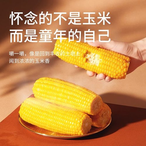三胖蛋甜糯玉米代餐营养加热即食真空锁鲜早餐粗粮苞米棒袋装零食 - 图0