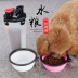 Chó đi ra ấm đun nước, mèo và chó, hai cốc nước, thú cưng Teddy, cốc đi kèm, máy cho ăn nước ngoài trời cầm tay - Cat / Dog hàng ngày Neccessities bình uống nước cho chó Cat / Dog hàng ngày Neccessities