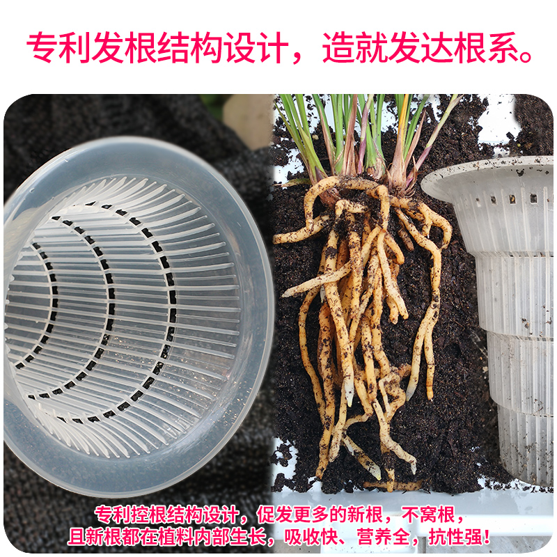 美莳透明控根兰花盆塑料树脂透气兰花专用盆加厚大号专利兰草套盆 Meshpot旗舰店 淘优券