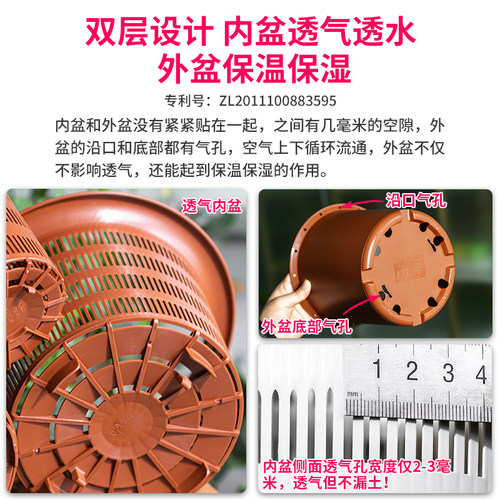美莳君子兰控根花盆透气塑料仿紫砂蝴蝶兰盆栽青山专用盆双层套盆 - 图0