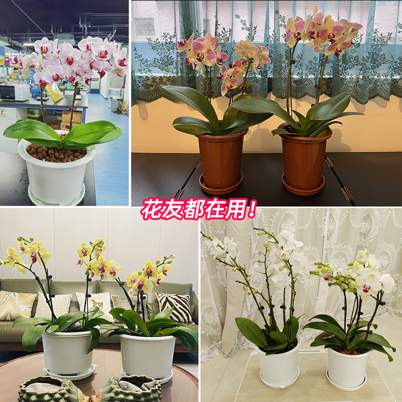 美莳蝴蝶兰控根花盆透气加仑塑料君子兰石斛文心兰专用盆双层套盆,淘宝优惠券,粉丝福利购,淘宝优惠卷