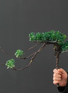陶瓷迎客松新中式摆设博古架花瓶