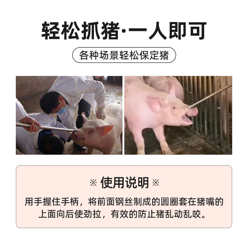套猪器猪用不锈钢保定器母猪套索杆套猪嘴神器养殖场抓猪器,淘宝优惠券,粉丝福利购,淘宝优惠卷