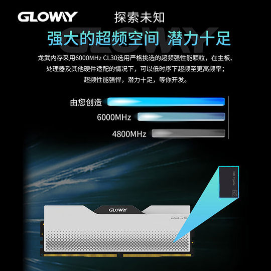 Guangwei Longwu/Tiance DDR5 desktop memory module