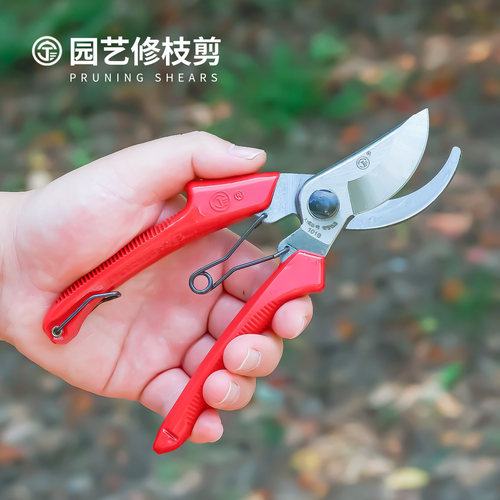 宁三牌修枝剪果树剪枝剪刀园林修剪树枝剪刀强力修花省力园艺剪子 - 图0