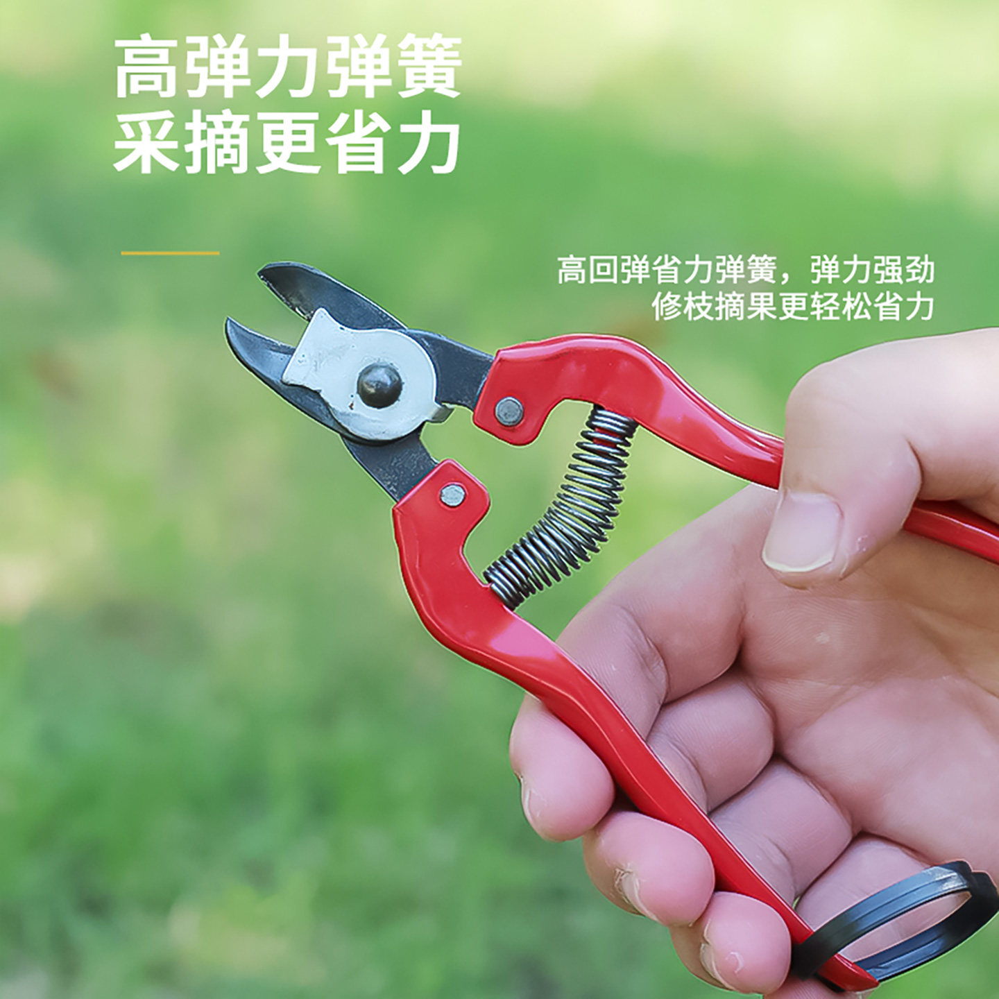 苹果窝型果把剪窝子剪梨橘子柿子摘果剪脐橙果柄剪采果剪修枝剪刀,淘宝优惠券,粉丝福利购,淘宝优惠卷