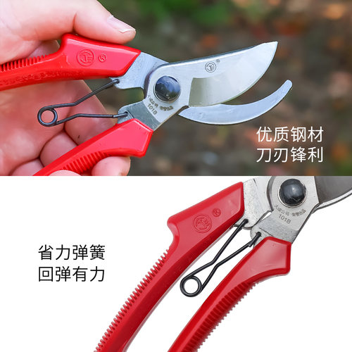 宁三牌修枝剪果树剪枝剪刀园林修剪树枝剪刀强力修花省力园艺剪子 - 图2