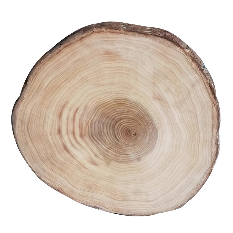 泰兴银杏木砧板白果树实木案板家用整木圆型肉墩耐裂防霉切菜板 - 图3