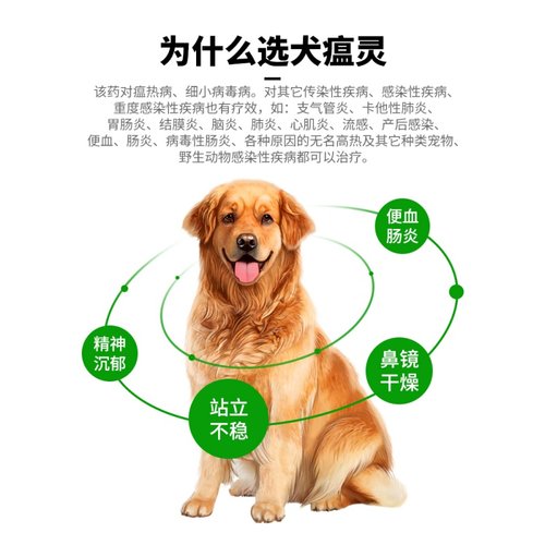 鱼腥草注射液猫瘟犬瘟灵治疗药细小单抗血清幼狗瘟热肺炎肠炎针剂 - 图2