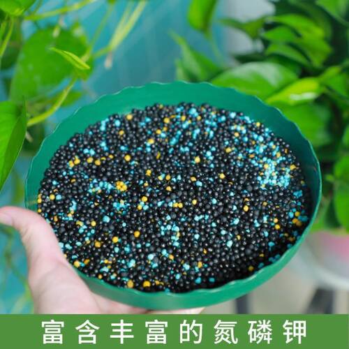 绿植花卉通用型控释肥多肉颗粒营养缓释肥氮磷钾种花养花复合肥 - 图1