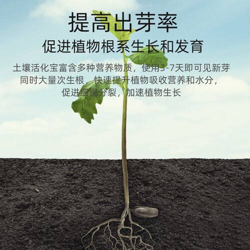 土壤活化剂改善土壤结构促进生根花卉植物水溶肥矿微生物菌剂通用 - 图1