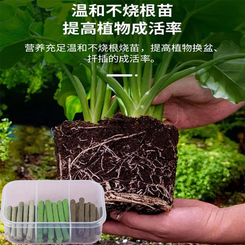 三色植物营养棒缓释棒盆栽花多肉专用肥料通用型缓释养花肥急救棒,淘宝优惠券,粉丝福利购,淘宝优惠卷
