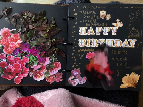 Leather Live Pages 6 -INCH 4R PLUCK -IN Paging Page Type Photo Photo Almam Poomemorative Book Baby Creative Gifts можно вставить 120