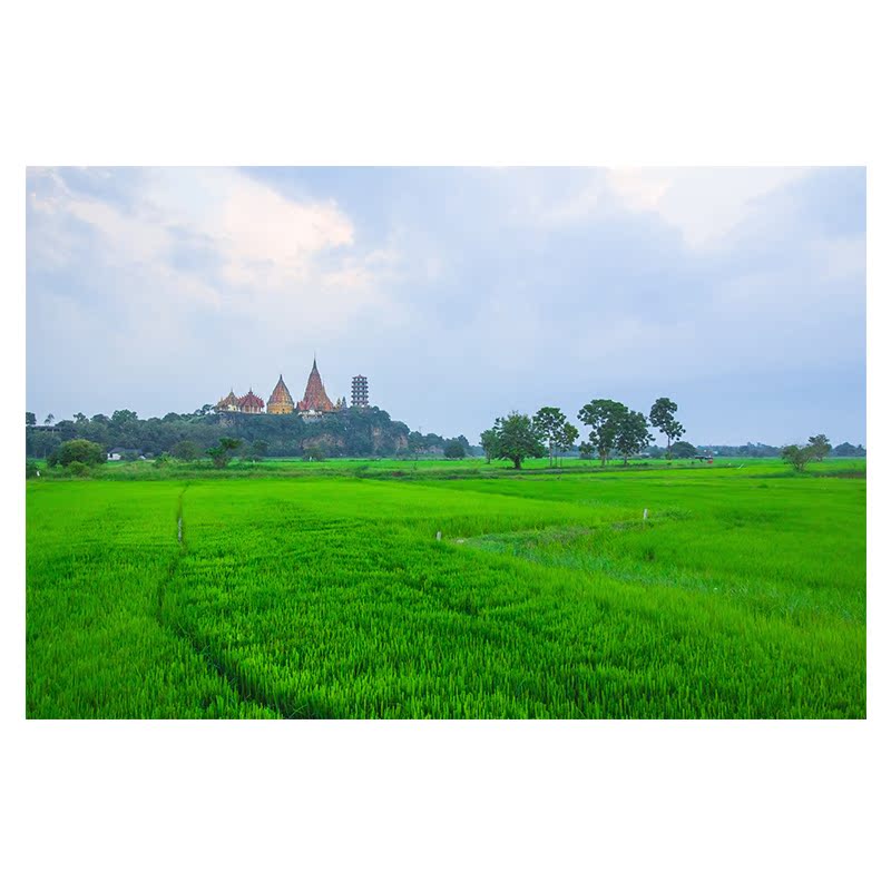 客厅沙发卧室风景画欧式美式田园背景墙楼梯拐角过道挂画墙画壁画