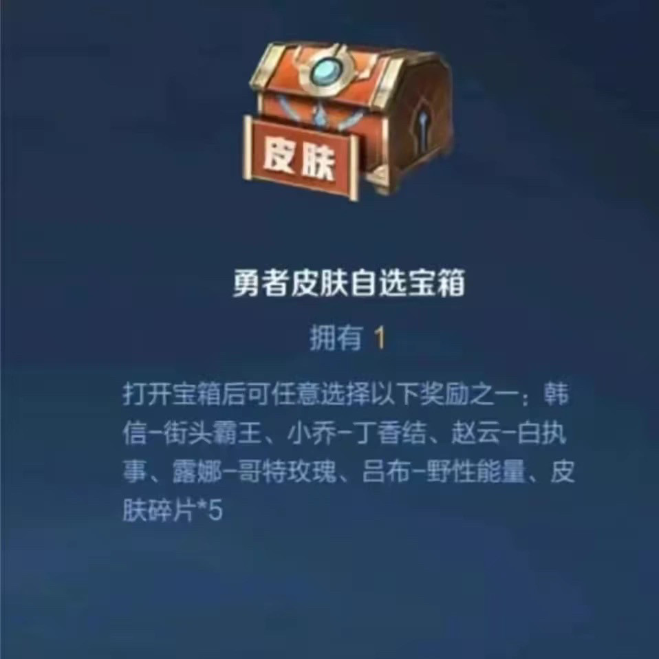 王者荣耀皮肤王者荣耀皮肤小乔丁香结韩信街头霸王永久皮肤成年礼邀请助力