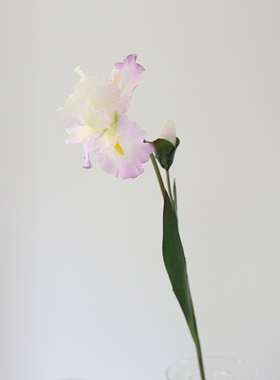 高仿真花鸢尾花爱丽丝拍摄陈设