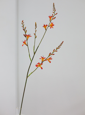 火焰兰仿真花假花绢花橘色落地花卉客厅餐厅玄关样板间装饰花摆件
