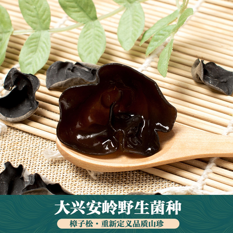 松东北有机特产小碗耳秋木耳樟子 樟子松黑木耳