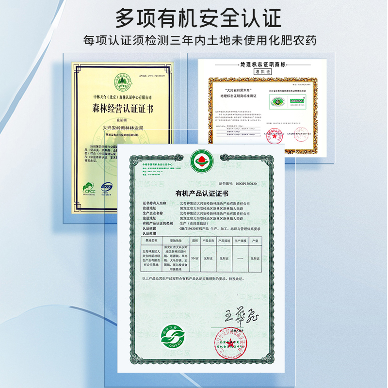 东北有机黑木耳礼盒包大兴安岭小碗干货正秋级无根特产端午伴手礼