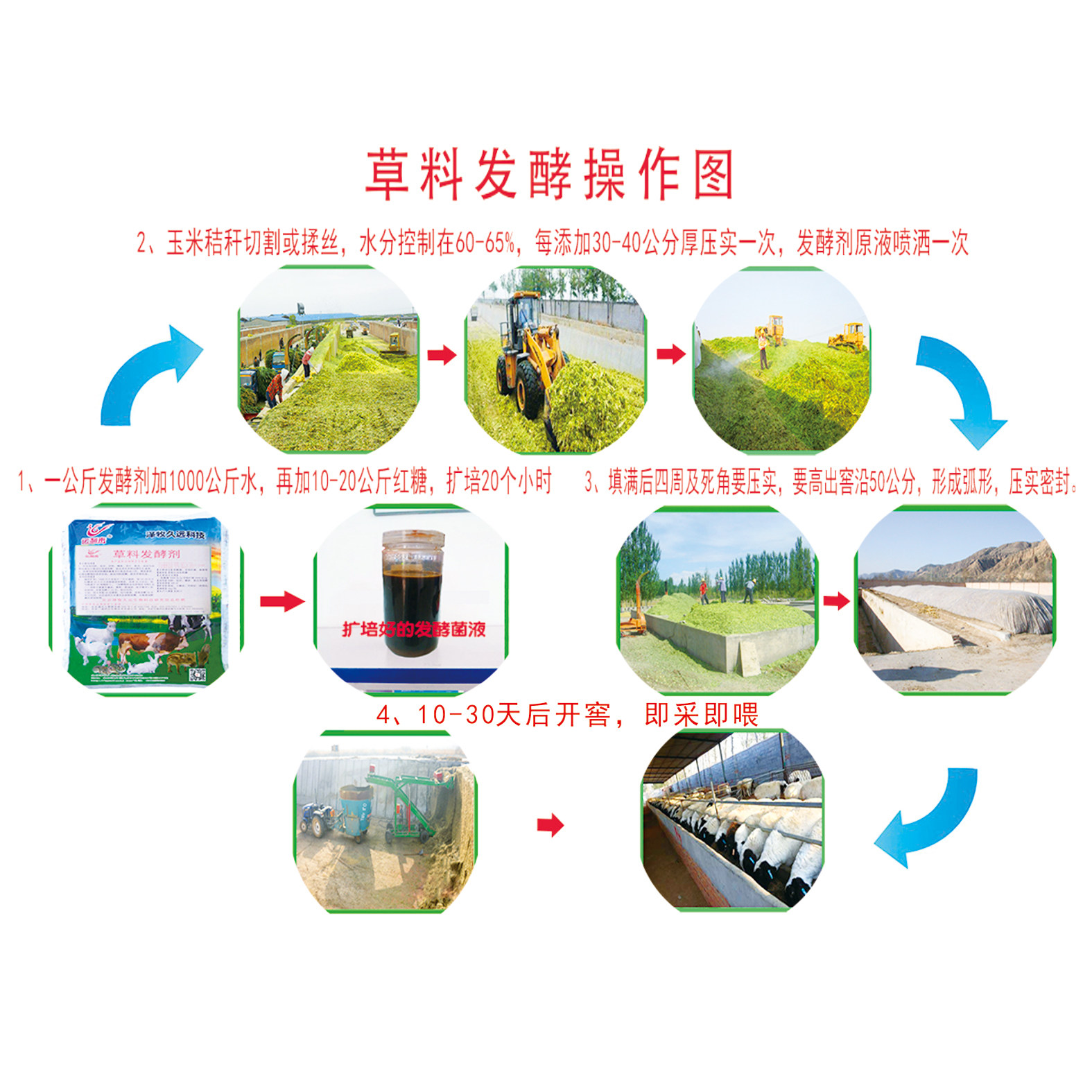 草料乳酸杆菌发酵剂饲料发酵剂青贮发酵剂黄贮发酵剂em菌泽牧久远虎窝淘 