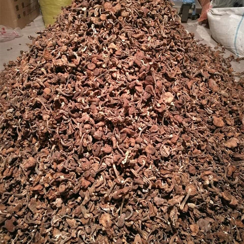 榛蘑东北野生蘑菇榛蘑干货500g包邮小鸡炖蘑菇无根榛蘑丁新货 - 图0