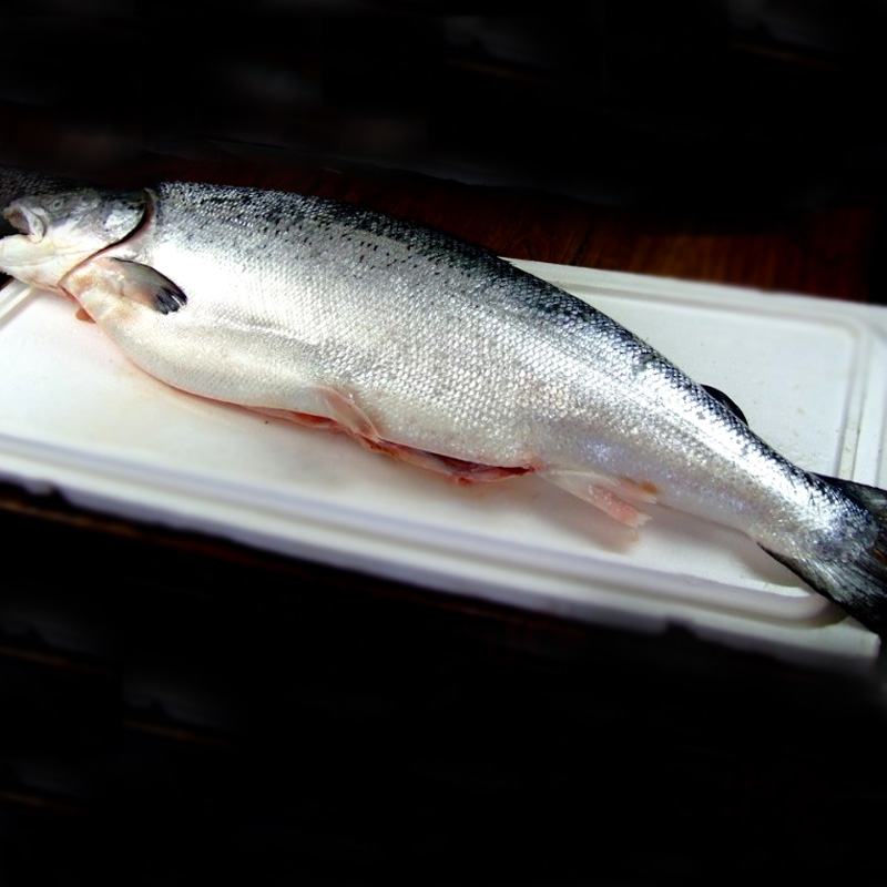 怡鲜来旗舰店【怡鲜来_智利进口三文鱼整条13斤】非刺身生鱼片冷冻 三文鱼中段3