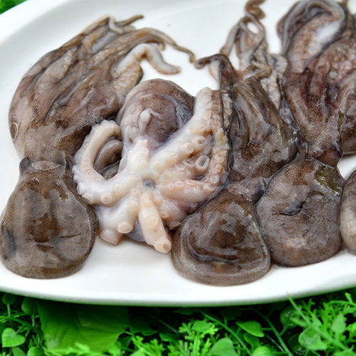 新鲜活冻小章鱼500g 小八爪鱼鱿鱼足章鱼须 火锅食材 - 图2