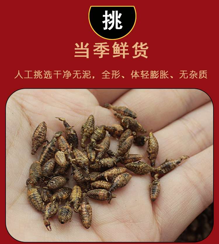 金沙牛10g克中草药材店铺金砂牛倒行狗子睡虫地拱沙猫地牯牛蚁狮 - 图0