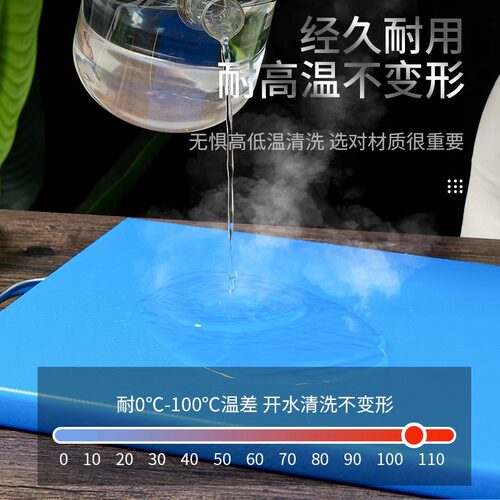 食品级PE抗菌防霉菜板家用塑料砧板商用案板厨房分色类刀板切菜板 - 图1