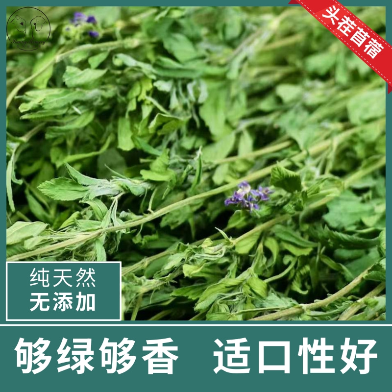 23年新草精品烘干头茬紫花苜蓿草干草幼兔子龙猫豚鼠荷兰猪粮牧草-图0